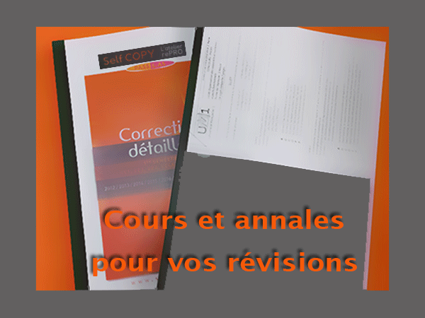 Impression de cours et annales pour faciliter votre réussite dans vos études universitaires