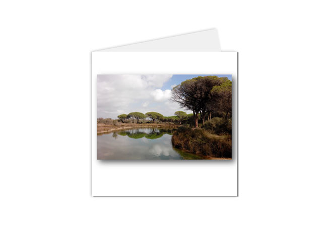 Carte postale Lac du Cantal