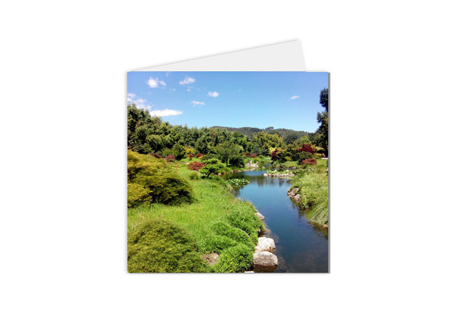 carte postale Jardin d'andouze