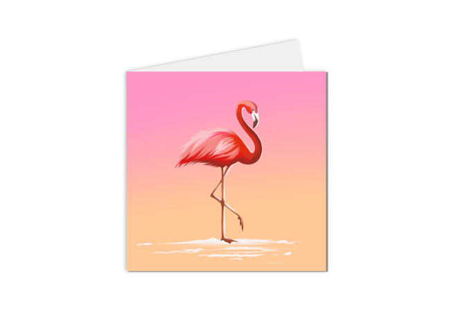 carte postale animaux illustration flamand rose