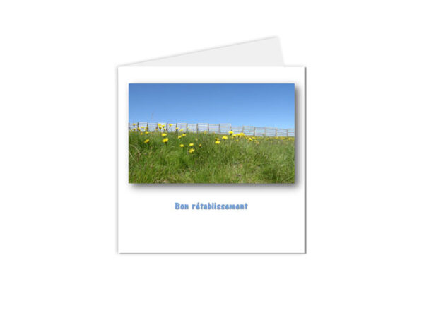 carte postale bon rétablissement - prairie de fleurs jaunes