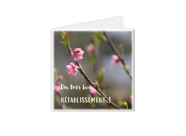 Carte postale pour souhaiter un bon rétablissement, ornée de délicates fleurs roses
