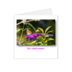 Carte postale "bon rétablissement" composée de fleurs et d'un papillon butinant