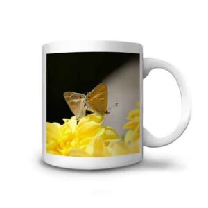 mug fleurs butinées par le papillon porte-queue