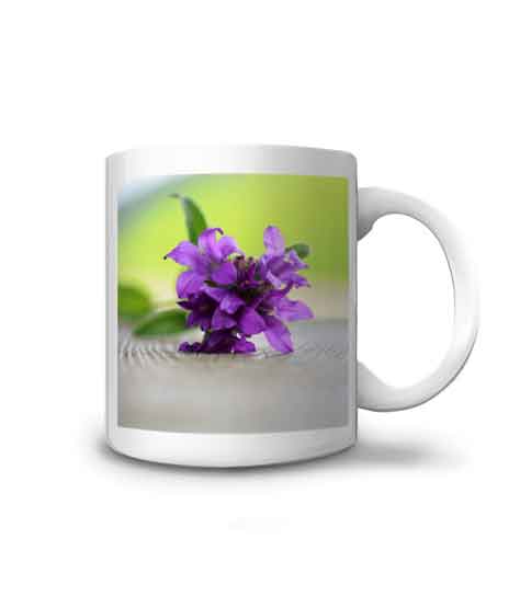 mug avec campanule c'est à dire une fleur violette posée sur un mur