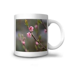 offrez un mugs avec ces fleurs roses d'arbre fruitier qui éclosent