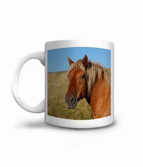 Offrez un mug avec ce magnifique cheval qui pose pour la photo !