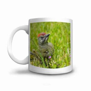 Offrez un mug photo de pivert dans sa prairie