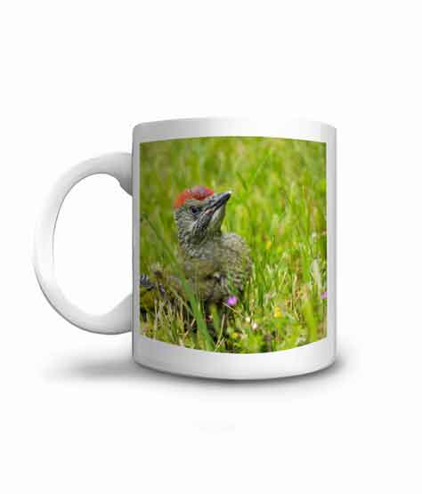 Offrez un mug photo de pivert dans sa prairie