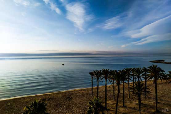 Mer d'huile au crépuscule à Rosas en Espagne- palmiers au bord de la mer méditerranée - photographie à offrir en cadeau