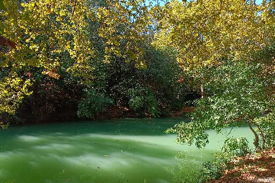 photo paysage-fleuve-le lez-Département de l'Hérault-feuillage-berges