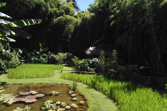 Harmonie au jardin en photo à offrir en cadeau avec ou sans cadre, pour décorer les lieux de vie