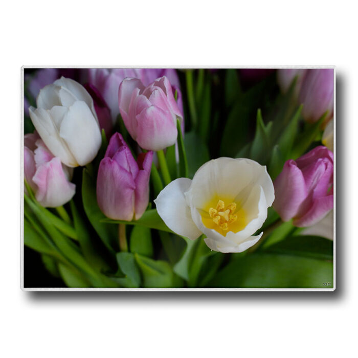 Set de table plastifié avec photo d'un bouquet de tulipes