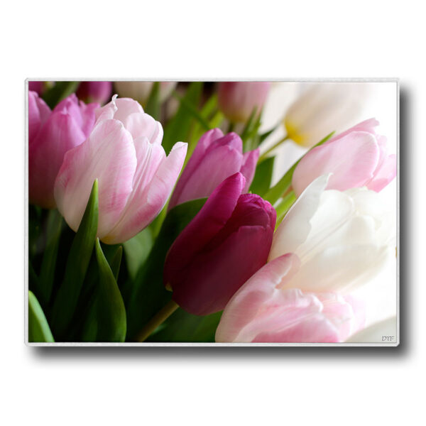 Set de table plastifié avec photo de tulipes tournées vers la lumière