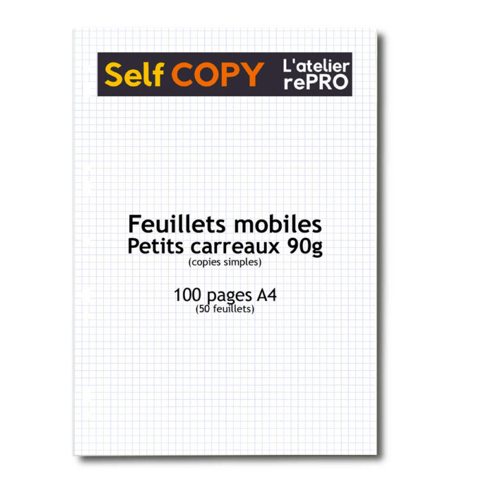 feuillets mobiles petits carreaux 100 pages