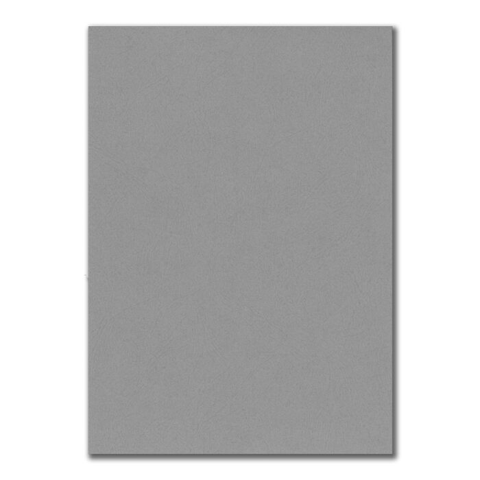 Papier cartonné épais grain cuir gris format A4-plat de couverture - couverture de dossier-scrapbooking