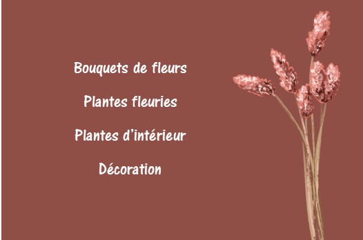 carte de visite recto verso fleuriste et jardinier bouquets de pampa