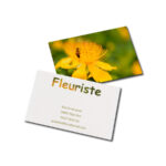 carte de viasite recto verso fleuriste jardinier photographie fleur jaune