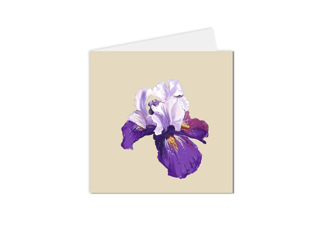 carte postale iris illustration