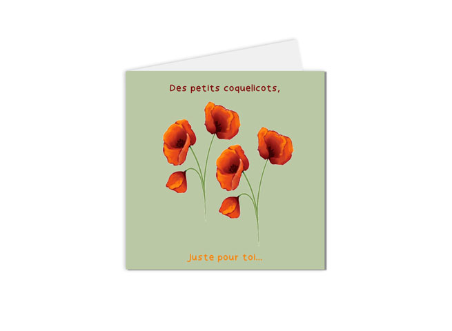carte postale fleurs illustration coquelicots
