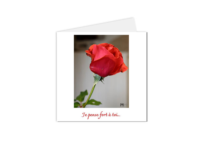 carte postale rose