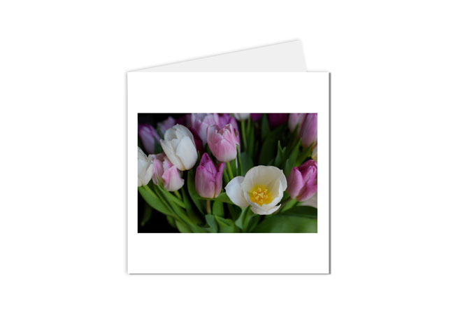 carte postale bouquet de tulipes
