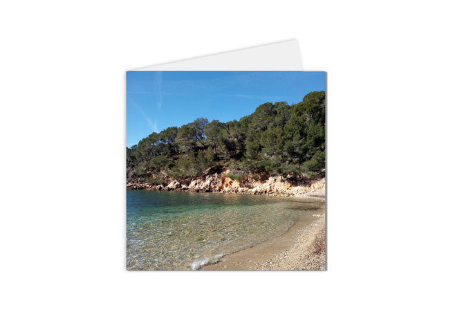 Carte postale paysage plage et végétation