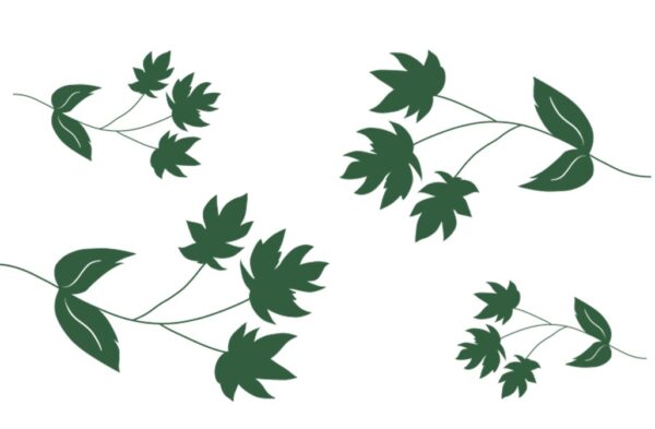 carte de visite avec feuilles