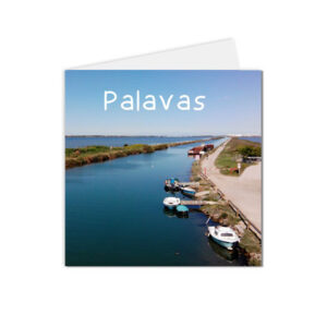 Carte postale Montpellier et ses alentours, Palavas