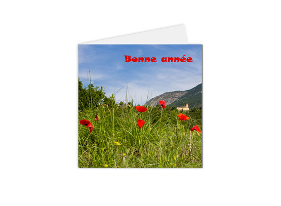 carte postale carte de vœux bonne année coquelicots