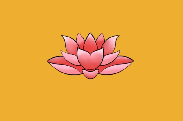 carte de visite recto verso santé lotus