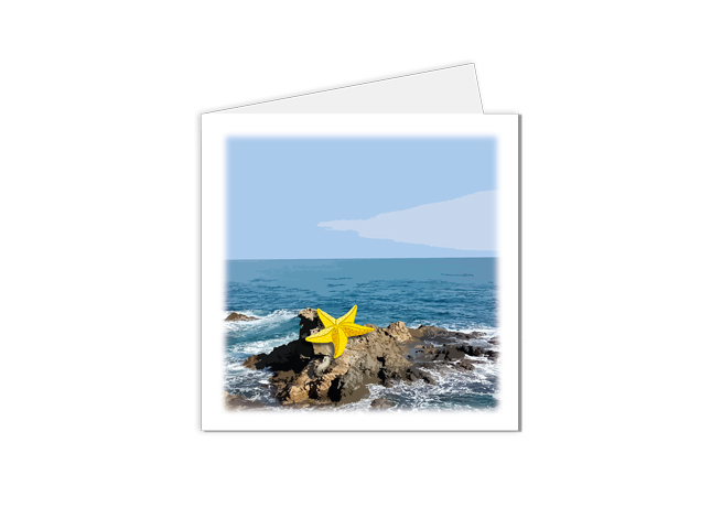 carte postale illustration étoile de mer sur son rocher
