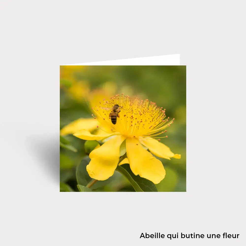 Carte Postale - Fleurs – Image 4