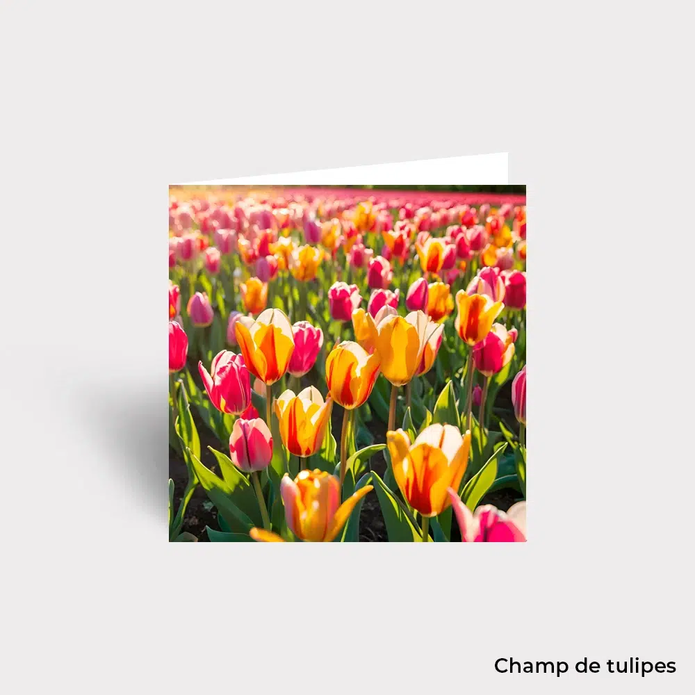 Carte Postale - Fleurs
