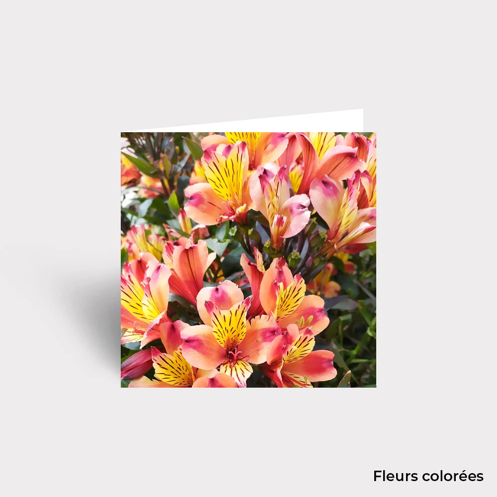 Carte Postale - Fleurs – Image 11