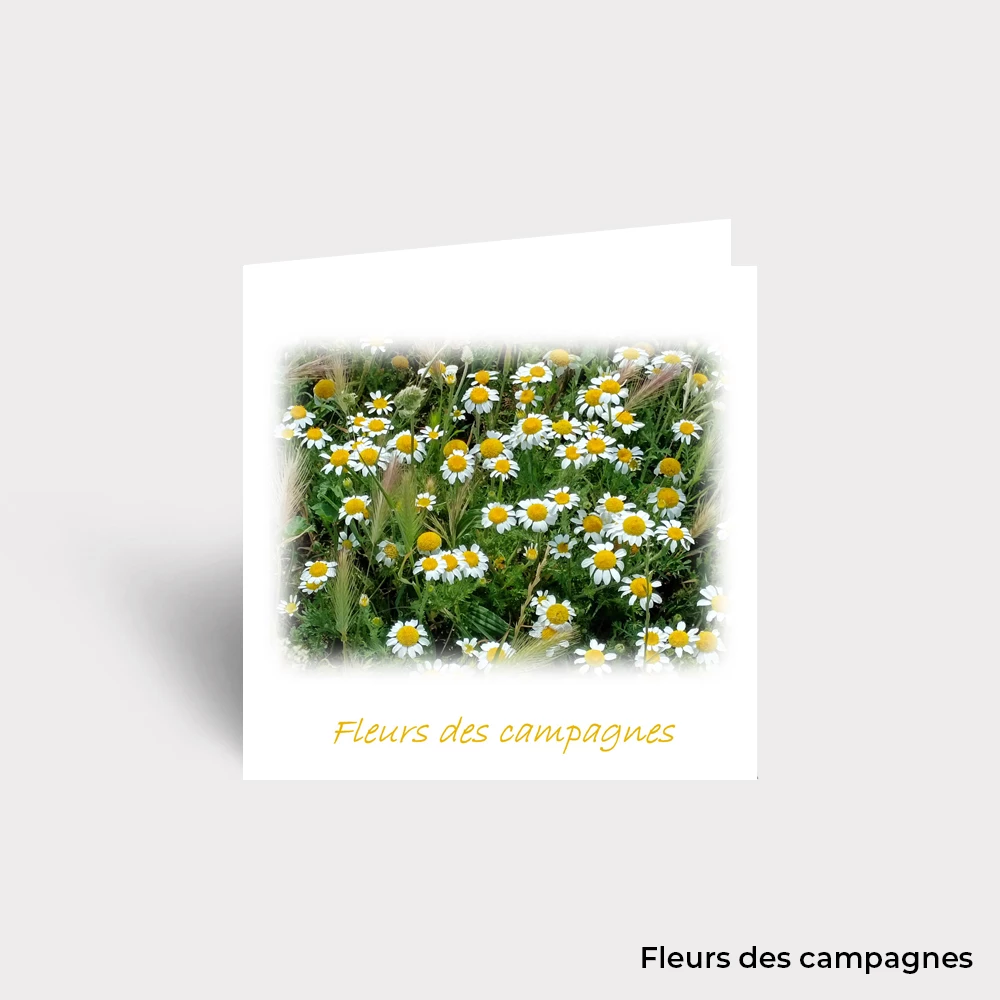 Carte Postale - Fleurs – Image 10