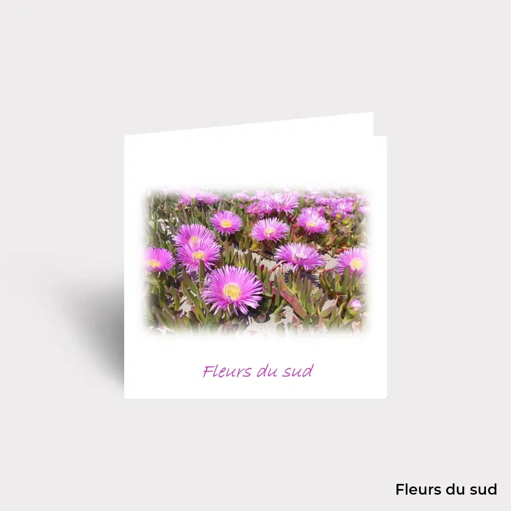 Carte Postale - Fleurs – Image 9