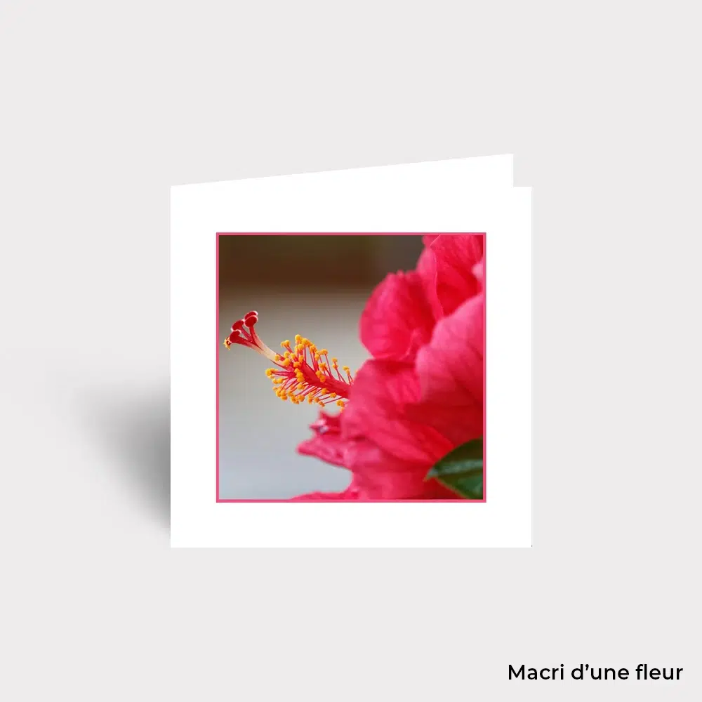 Carte Postale - Fleurs – Image 6