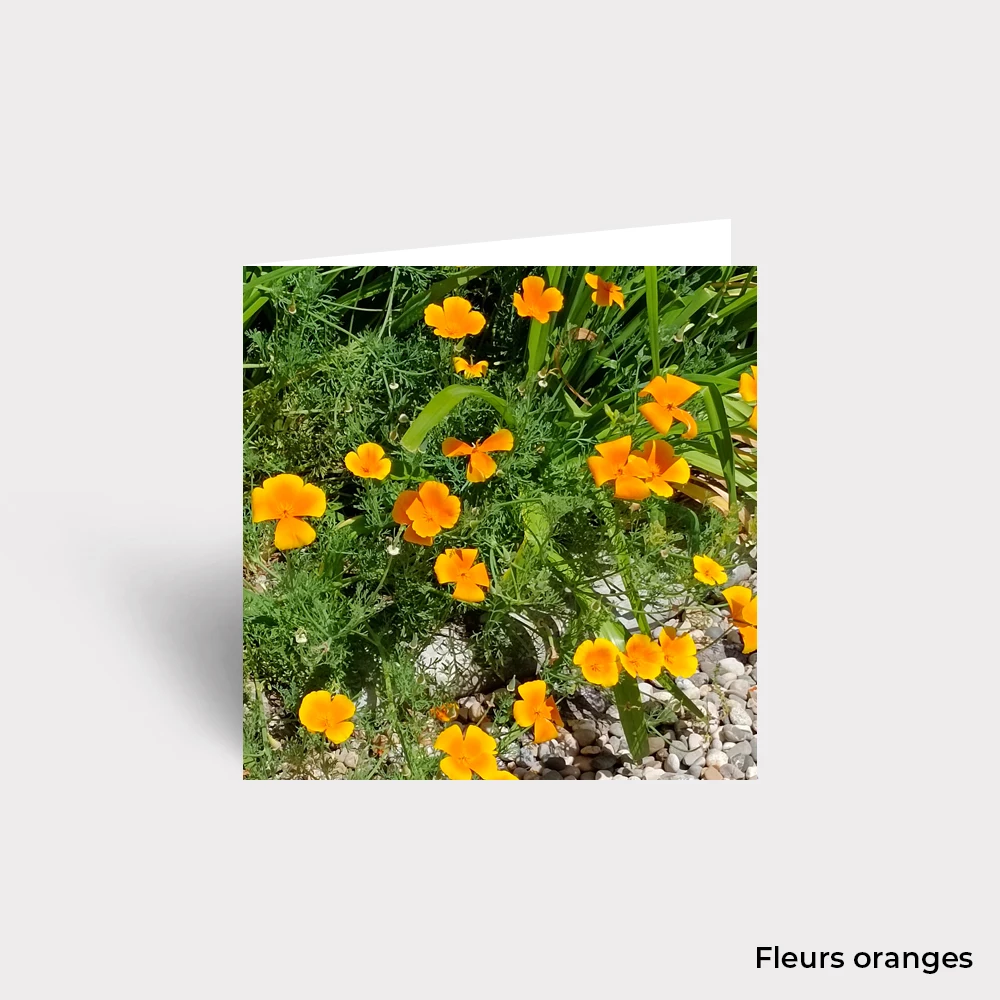 Carte Postale - Fleurs – Image 19