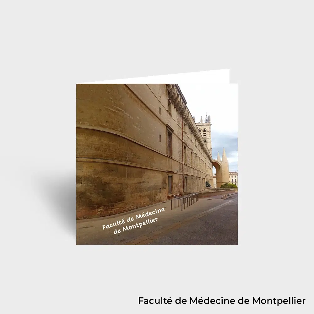 Carte Postale - Montpellier et alentours – Image 4