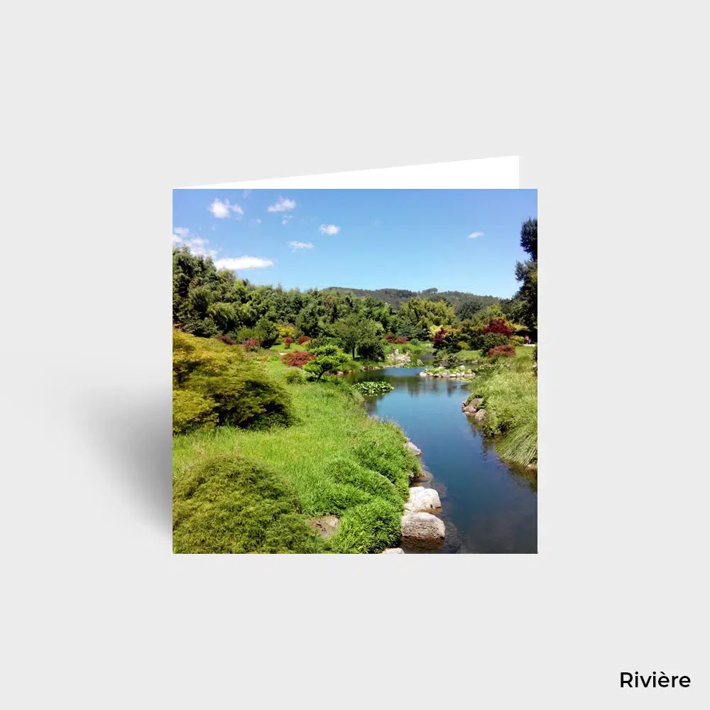 Carte Postale - Paysage