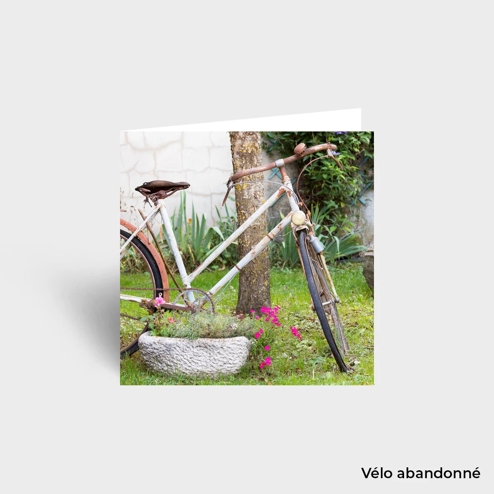 Carte Postale - Paysage – Image 8