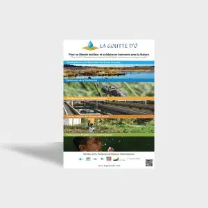 Affiche A3