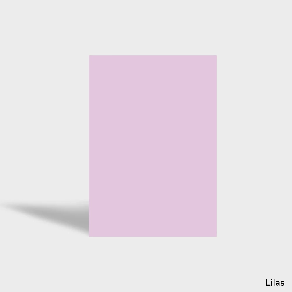 Papier coloré 160g / Couverture de dossier – Image 12
