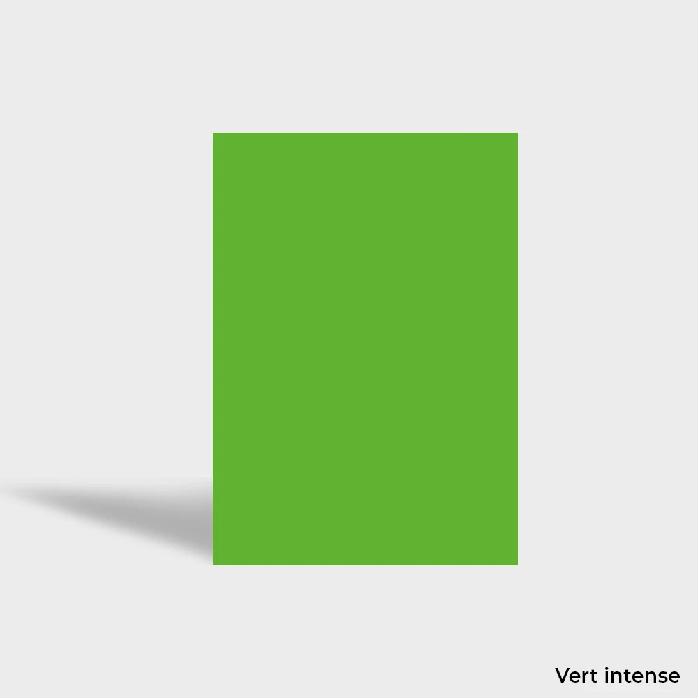 Papier coloré 160g / Couverture de dossier – Image 6