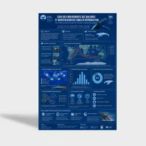 Poster Scientifique Hors Format